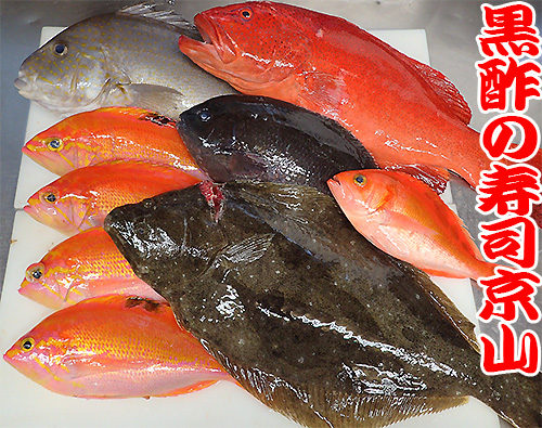 和歌山県の新鮮な魚